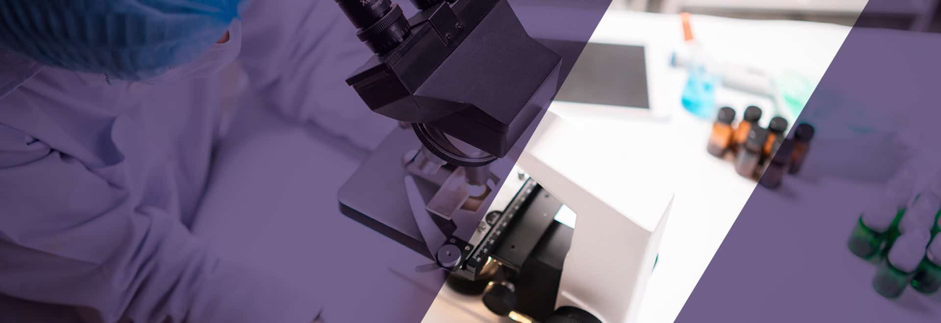 Enabling Accreditation Process on Web Platform