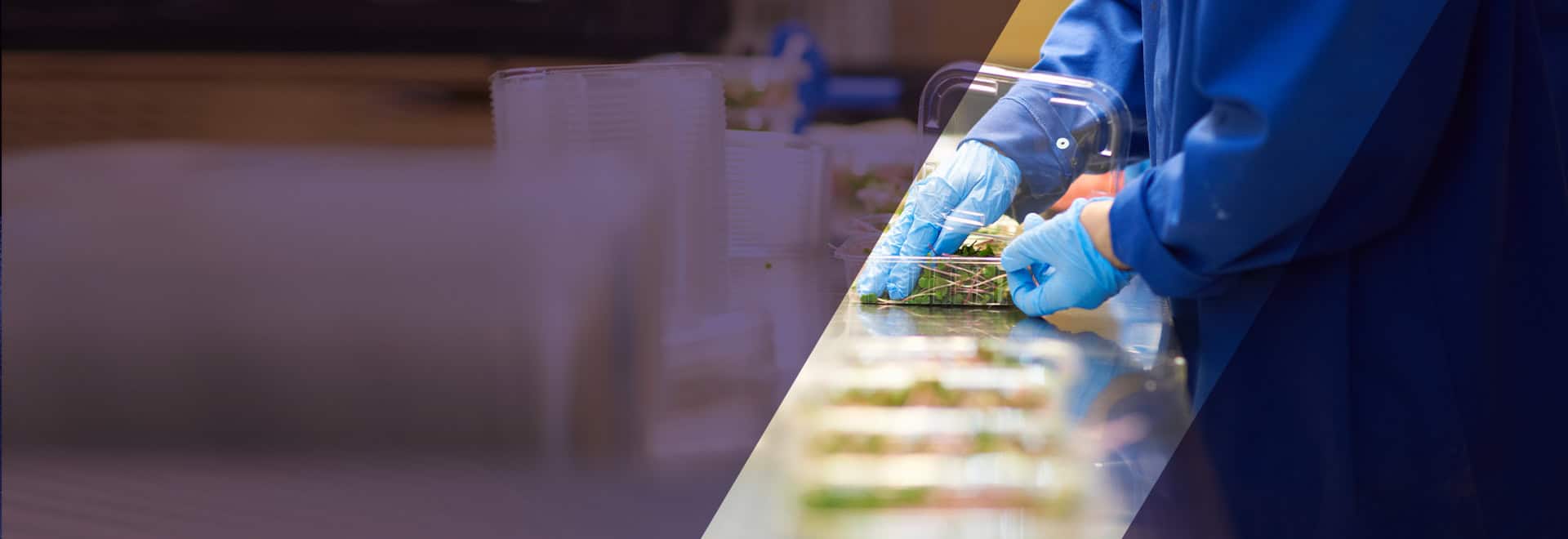 Oracle ERP – Application Management Support