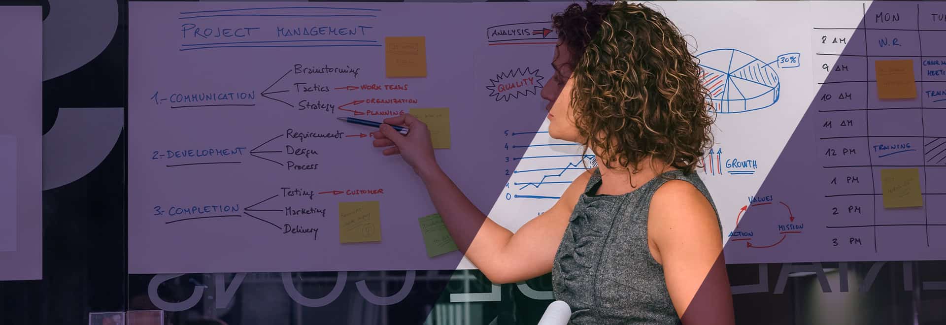 Project Portfolio Management