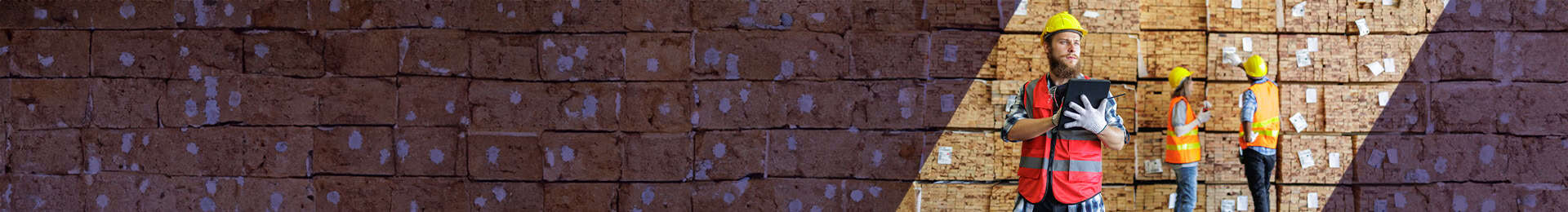 Enhancing Efficiency with Automation: Inventory Mapping