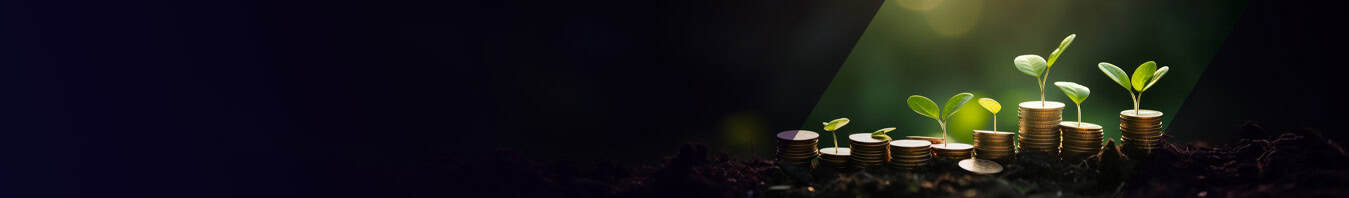 Boosted Fundraising and Grant Management Using Salesforce-Powered Data Model