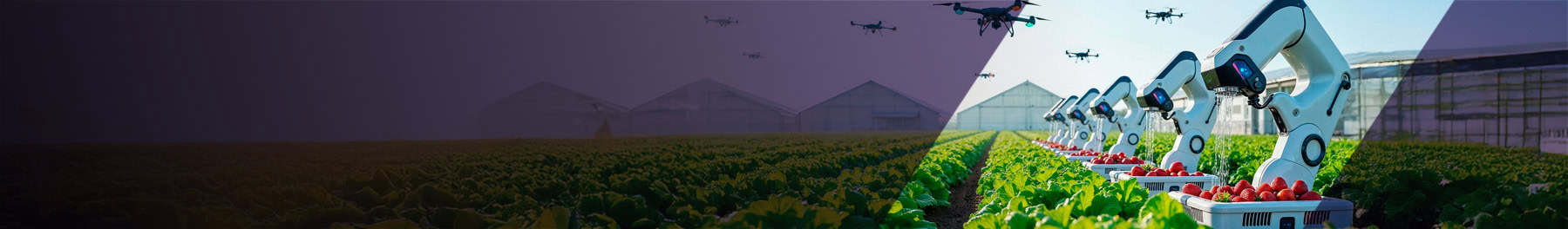 Mitigating Risks in AgriTech Transformation