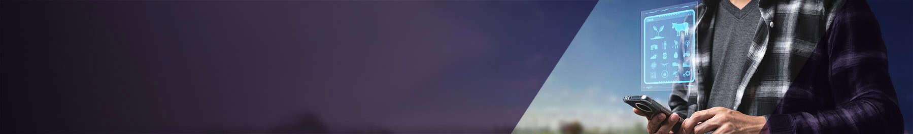 Scalable Performance Validation for Distributed Digital Ecosystems