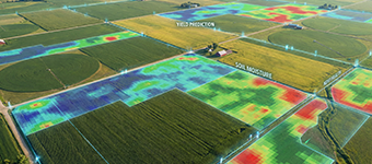 How AI Driven Yield Prediction Is Transforming American Farming